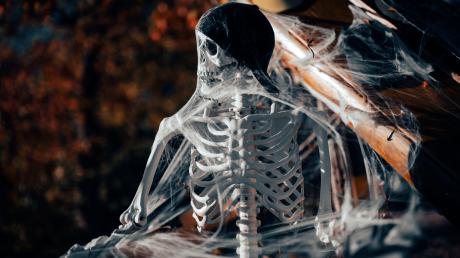 23.10.2023,  23.10.2023, Volksbrauch Halloween, wird ausgiebig gefeiert hier im Allgäu-Skylinepark Rammingen bei Bad Wörishofen mit den Aktionstagen an zwei Wochenenden. Künstliche Skelette sorgen für Schock-Momente. 