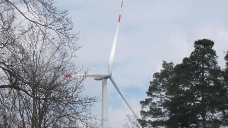 Das Amt für Landwirtschaft und Forsten sieht die Windräder bei Reinhartshofen nicht als Gefahr für Bäume.