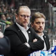 Cheftrainer Christof Kreutzer und die Panther gehen getrennte Wege. Auch Assistenztrainer Juho Nokelainen muss den Klub verlassen. 