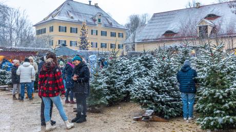 Die Waldweihnacht auf Gut Mergenthau bei Kissing ist idyllisch und zieht viel Publikum an. Doch am Wochenende musste der Parkplatz gesperrt werden. 