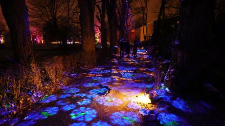 Der Augsburger Zoo ist derzeit abends magisch beleuchtet. Der Christmas Garden lädt zum Spaziergang.