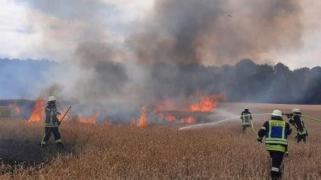 Im Juli brannten in der Region reihenweise Getreidefelder, hier nahe dem Ramhof zwischen Berg und Kaisheim.