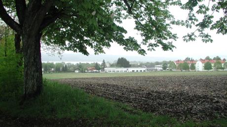 Vor 20 Jahren sah es in Romenthal südlich der Allee noch so aus. Inzwischen sind die früheren Äcker großteils bebaut.