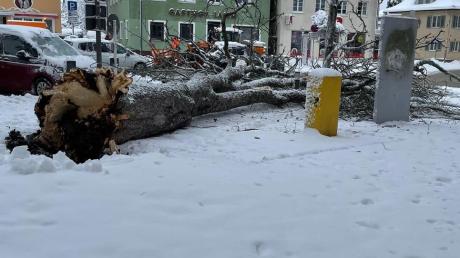 Am Hauptplatz in Weißenhorn ist am Samstag ein Baum wegen der Schneelast umgefallen. Verletzt wurde dabei zum Glück niemand.