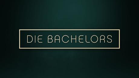 2024 gibt es eine neue Staffel des Bachelors - aber diesmal mit zwei Männern auf der Suche nach Liebe, deshalb "Die Bachelors".