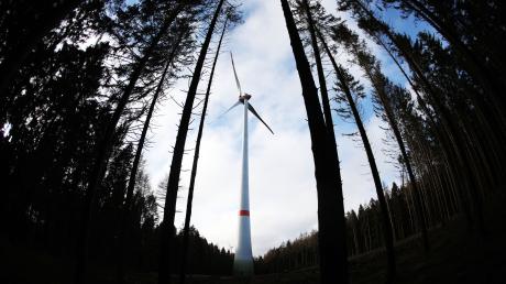 Im Sachsenrieder Forst bei Denklingen sollen sechs Windräder gebaut werden. 