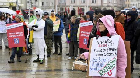 Es waren schon mal mehr: Rund 50 Demonstranten von Fridays for Future versammelten sich am Freitagnachmittag am Königsplatz.           