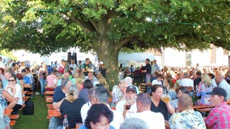 Diese Initiative der neu gegründeten Dorfgemeinschaft kam gut an: Unter der 120-jährigen Dorflinde in Herbertshofen feierten zahlreiche Besucher ein Sommerfest.