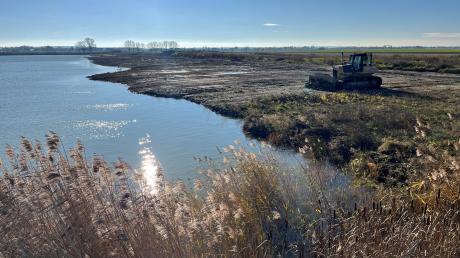 Die durch Planierraupen gebrochenen Uferkanten am Abbaugebiet an der Ach bei
Karlshuld: Hier sind Nahrungsflächen für Watvögel entstanden.