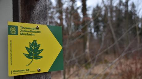 Eine Bürgerinitiative will bei Monheim diesen Wald erhalten, durch den ein Lehrpfad führt.