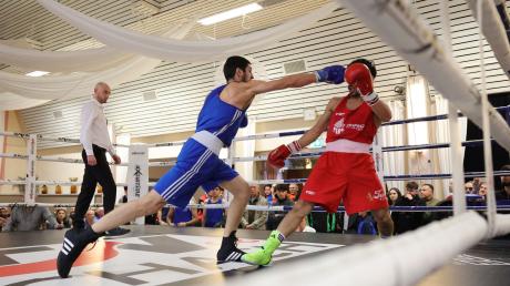 Bei den schwäbischen Meisterschaften in Aichach gab es an zwei tagen Boxsport zu sehen. mehr als 300 Zuschauende verfolgten die Kämpfe