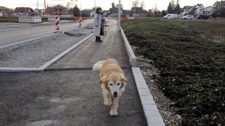 Hund Lucky kennt die Gegend in der Urmelstraße in Lechhausen. Her startet die Wohnbaugruppe bald ein Neubauprojekt.