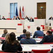 Die Brandenburger Landtagswahl findet im September 2024 statt. Wie sehen die aktuellen Umfragewerte aus?
