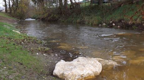 In die Neufnach in Walkertshofen ist Schmutzwasser gelangt. Die Behörden warnen davor, Fische aus dem Fluß zu essen.
