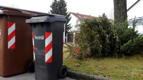 Eine Restmülltonne und eine  Tonne für Bioabfall wurden im Rosenauweg in Türkheim gestohlen.