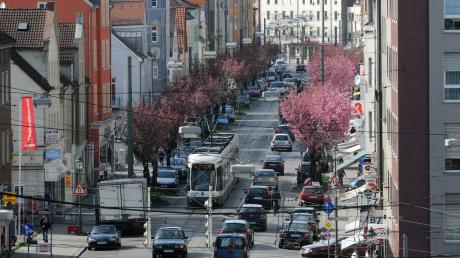 Die Ulmer Straße in Oberhausen (hier ein Foto zur Kirschblütenzeit im Frühling) soll im Abschnitt direkt an der Wertachbrücke einen Radweg bekommen. 