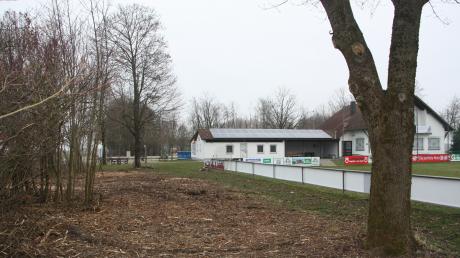 Beim Kleinaitinger Sportplatz wurden Bäume und Sträucher zum Schutz von Spielern und Zuschauern zurückgeschnitten.