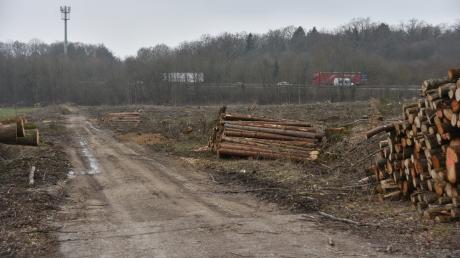 Knapp vier Hektar Wald sind an der B2 bei Monheim gerodet worden.