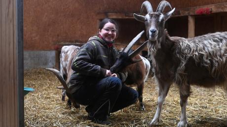 Blanka Hoffmann arbeitet ein Jahr lang als Tierpflegerin auf Gut Morhard. Die Ziegen sind ihr besonders ans Herz gewachsen.