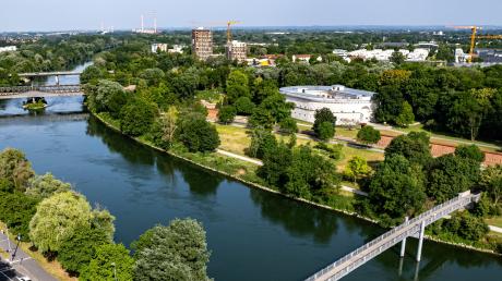 Das südliche Ufer der Donau in Ingolstadt soll neu gestaltet werden. Online kann über die verschiedenen Vorschläge abgestimmt werden.
