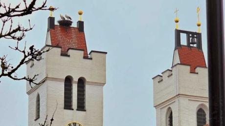 Auch bei trübem Wetter gibt es von der Eisdiele aus etwas zu sehen – zum Beispiel die Störche auf dem Kirchturm.