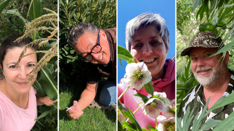 Sie machen mit bei der MZ-Gartenserie "Beetgeschichten": Melanie Lippl, Alf Geiger, Sandra Baumberger und Ulf Lippmann (von links) berichten über ihre Erfolge und Misserfolge im Gartenjahr 2024.