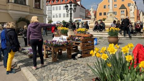 Die Stadt Friedberg läutet den Frühlingsbeginn mit dem ersten Marktsonntag ein.
