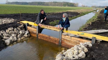 Landrat Peter von der Grün und Ulrike Lorenz, Vorständin des Bayerischen Naturschutzfonds, setzen mit dem Anstaubalken den "Startschuss" für das Projekt "Grundwassermanagement Obermaxfeld".