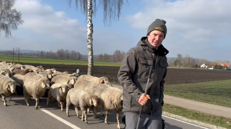 Sebastian Kühnlein aus Klingsmoos arbeitet mit Schafen - und das schon seit zehn Jahren.