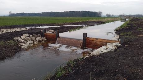 Gut gelaufen: Die Bauarbeiten für das Projekt „Grundwassermanagement Obermaxfeld“ sind abgeschlossen, der Anstau läuft seit einigen Tagen.