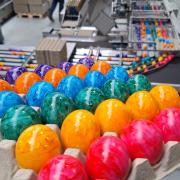 Die farbenfrohen Eier in der Produktion der Firma Beham.