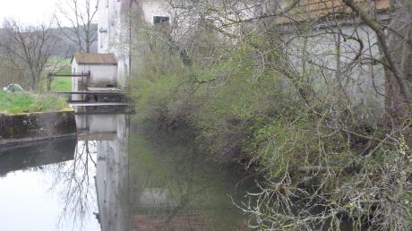 Das Wasserwirtschaftsamt Donauwörth empfiehlt der Gemeinde Ebershausen eine Überschwemmungsgebiets-Analyse für die Hasel in Ebershausen und Seifertshofen. Unser Bild zeigt eine stillgelegte Wehranlage in der Seifertshofer Straße.