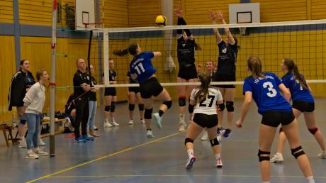 Mit einem letzten 3:1-Sieg gegen Langweid haben die Marktoffinger Volleyball-Meisterinnen (in Blau-Schwarz) die Saison abgeschlossen.