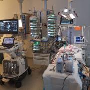 Wegen eines gravierenden Herzfehlers muss Lia nach ihrer Geburt in der Donauklinik in Neu-Ulm im Olgahospital in Stuttgart operiert werden. Wenige Stunden später stirbt sie.
