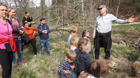 "Der Biber an der Glöttquelle – ein Lebensraum zum Kennenlernen": Gut 30 Personen hatten an der Exkursion mit Biberberater Alois Brunhuber in den Wald bei Glöttweng teilgenommen.