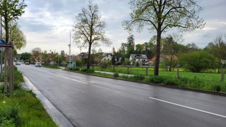 In diesem Bereich der Ingolstädter Straße in Neuburg kommt es immer mal wieder zu Wildunfällen.