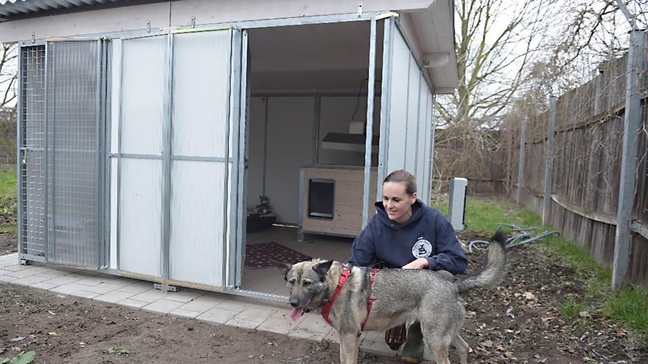 Auf der LechArche freut sich Bonita mit Tierpflegerin Joana Müller über "ihre" neue Hundebox