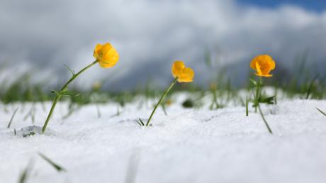 Der Deutsche Wetterdienst erwartet auch am Mittwoch Schnee in Bayern.
