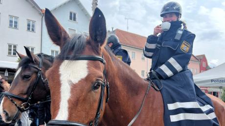 Auch sie genossen eine Tasse Kaffee am Mittwoch bei der Aktion "Coffee with a Cop" in Friedberg. Die berittene Polizei wird im Bereich des Polizeipräsidiums Schwaben Nord erstmals auch im Sommer als Reiterstaffel an den Seen im Bereich der PI Friedberg unterwegs sein.