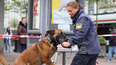 Im Rahmen des "Sicherheitstags" bekamen Bürgerinnen und Bürger am Augsburger Moritzplatz Einblicke in die Polizeiarbeit – wie hier der Hundestaffel.