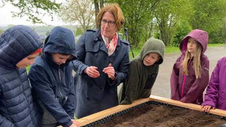 Kreisbäuerin Nicole Binger erklärt den Drittklässlern der Grundschule Marxheim, was Kartoffeln zum Wachsen brauchen.