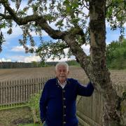 Ein Leben unterm weiß-blauen Himmel in Bayern: Der frühere Landtagsabgeordnete Reinhard Pachner wird 80 Jahre alt. Seinen Garten in Friedberg-Heimatshausen  pflegt er immer noch eigenhändig.
