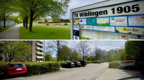 An diesen zwei Standorten werden in Wiblingen  Container für Flüchtlinge aufgestellt: Hundewiese alias Blumenwiese (oben) und Johannes-Palm-Straße (unten).