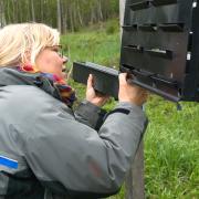 AELF-Försterin Silke Schulz-Könicke kontrolliert regelmäßig die Borkenkäferfallen im Forstrevier Wertingen.