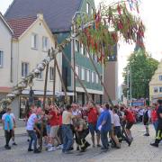 In einigen Orten in der Region, so auch in Gundelfingen, wurde der Maibaum nach traditioneller Art aufgestellt – mit Stangen und Muskelkraft. 