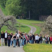 Im Mai führen Wallfahrten durch die blühende Landschaft. Hier kommen die Neuburger Pilger aus dem Gietlhausener Wald auf dem Weg zur Hl.Kreuz-Kirche Bergen. 
