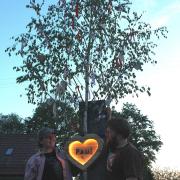 Die 23 Jahre alte Elisabeth Kempter aus Dinkelscherben hat ihrem Freund Paul, 25 Jahre,  in Horgau dieses Maiele gebastelt. Das Herzchen leuchtet, die Buchstaben stammen aus dem 3D-Drucker. Der Baum sei daher ein Mix aus Tradition und Moderne.