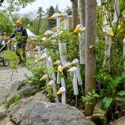 Viel zu schauen gibt es bei den Gartentagen in Kaltenberg, die vom 9. bis 12. Mai stattfinden.