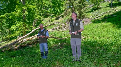 Landsbergs Forstamtsleiter Michael Siller (links) und Revierleiter Ulrich Metzger informierten beim Waldbegang über die Hangsanierung im Lechpark.
