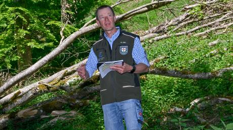 Landsbergs Forstamtschef Michael Siller beim diesjährigen Waldbegang des Stadtrats.